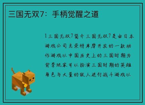 三国无双7：手柄觉醒之道