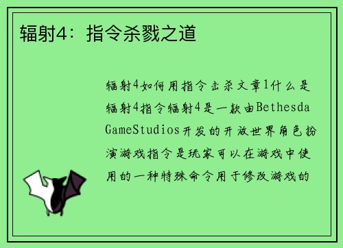 辐射4：指令杀戮之道